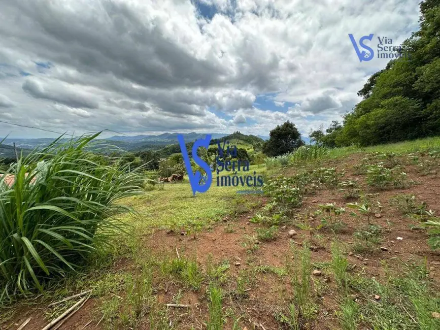 Foto 8 de Sítio / Rancho com 4 quartos à venda, 7245m2 em Centro, Tres Coroas - RS