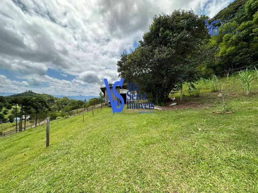 Foto 4 de Sítio / Rancho com 4 quartos à venda, 7245m2 em Centro, Tres Coroas - RS