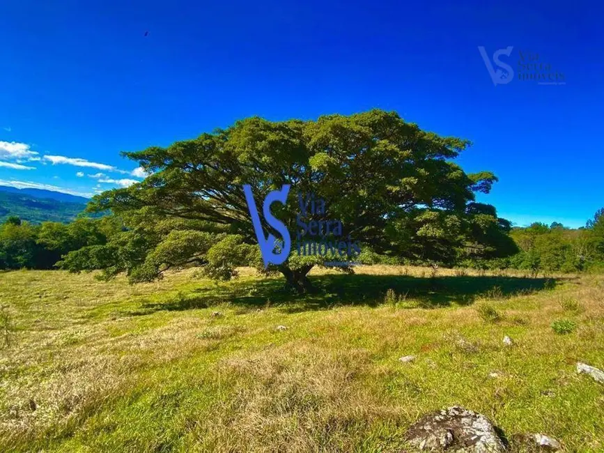 Foto 1 de Sítio / Rancho à venda, 60000m2 em Tres Coroas - RS