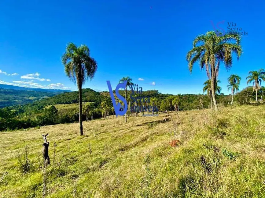 Foto 7 de Sítio / Rancho à venda, 60000m2 em Tres Coroas - RS