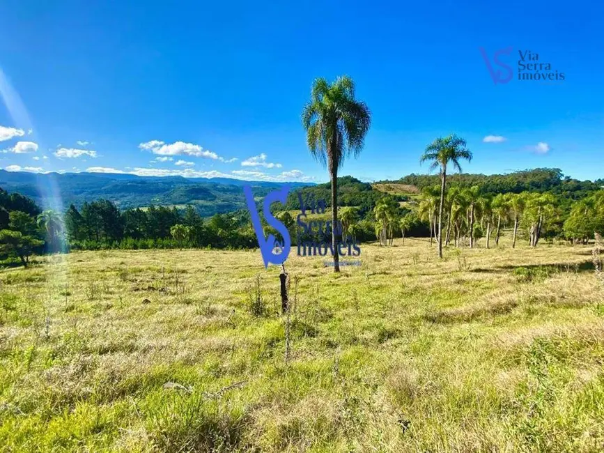Foto 5 de Sítio / Rancho à venda, 60000m2 em Tres Coroas - RS