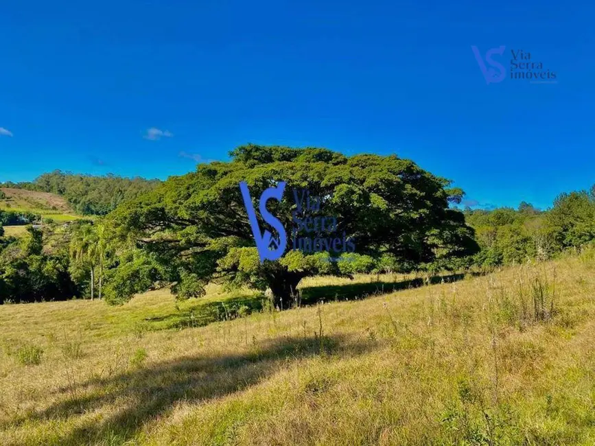 Foto 2 de Sítio / Rancho à venda, 60000m2 em Tres Coroas - RS