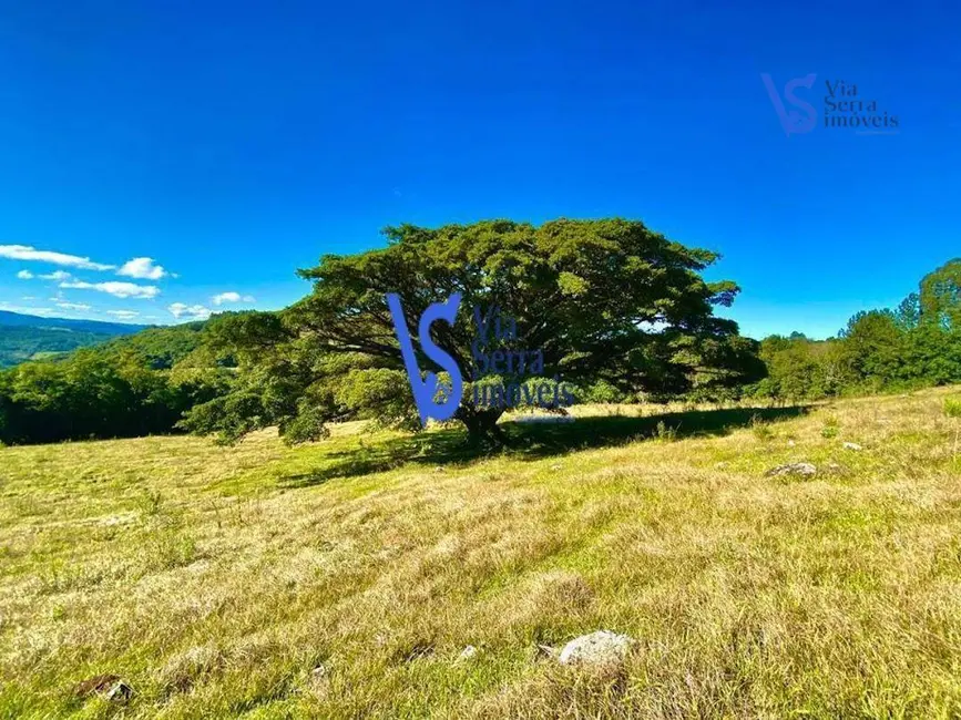 Foto 3 de Sítio / Rancho à venda, 60000m2 em Tres Coroas - RS