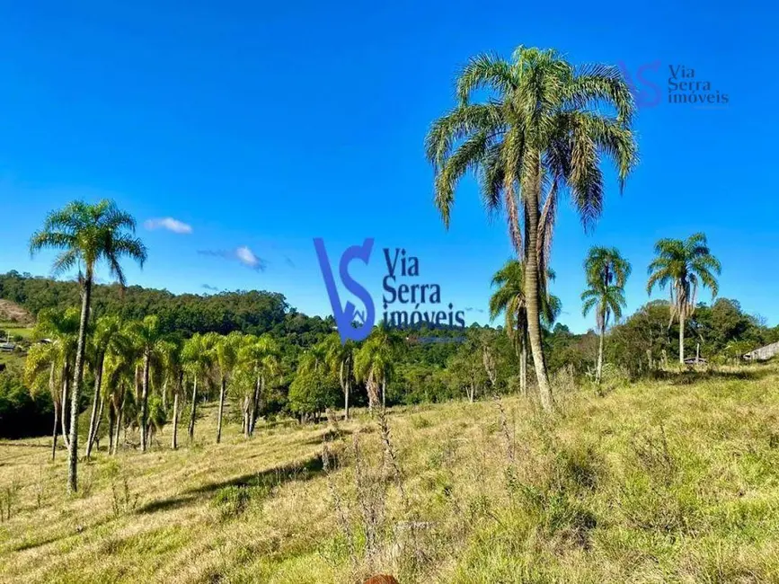 Foto 8 de Sítio / Rancho à venda, 60000m2 em Tres Coroas - RS