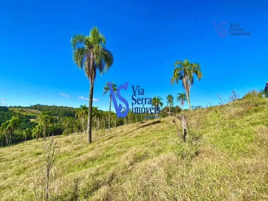 Foto 6 de Sítio / Rancho à venda, 60000m2 em Tres Coroas - RS