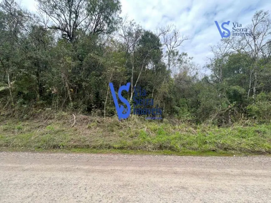 Foto 4 de Sítio / Rancho à venda, 30000m2 em Igrejinha - RS