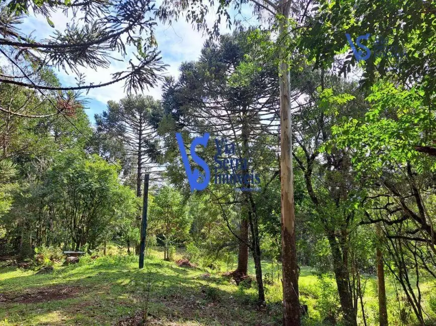 Sítio / Rancho à venda, 35000m2 em Sao Francisco De Paula - RS - imagem 3 Foto 3 de Sítio / Rancho à venda, 35000m2 em Sao Francisco De Paula - RS