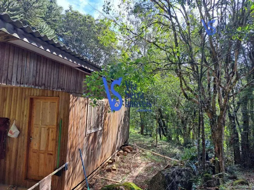 Sítio / Rancho à venda, 35000m2 em Sao Francisco De Paula - RS - imagem 9 Foto 9 de Sítio / Rancho à venda, 35000m2 em Sao Francisco De Paula - RS