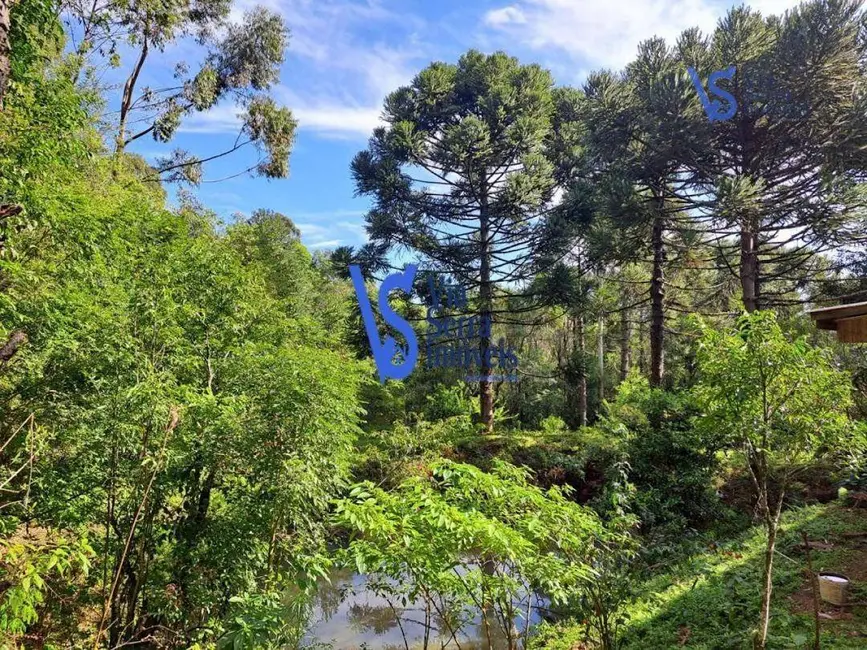 Sítio / Rancho à venda, 35000m2 em Sao Francisco De Paula - RS - imagem 4 Foto 4 de Sítio / Rancho à venda, 35000m2 em Sao Francisco De Paula - RS