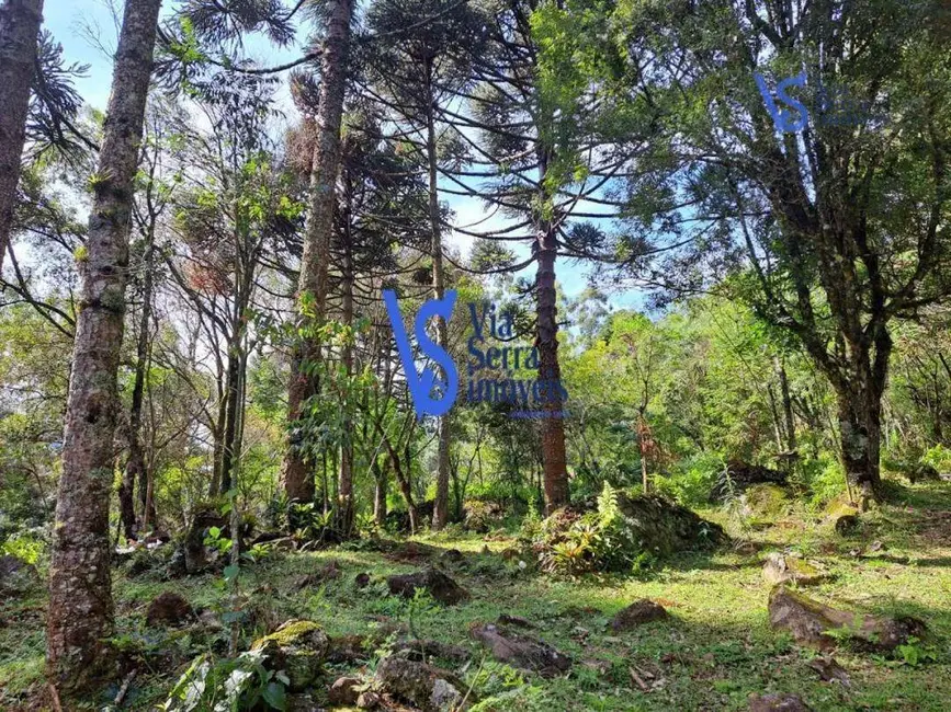 Sítio / Rancho à venda, 35000m2 em Sao Francisco De Paula - RS - imagem 7 Foto 7 de Sítio / Rancho à venda, 35000m2 em Sao Francisco De Paula - RS