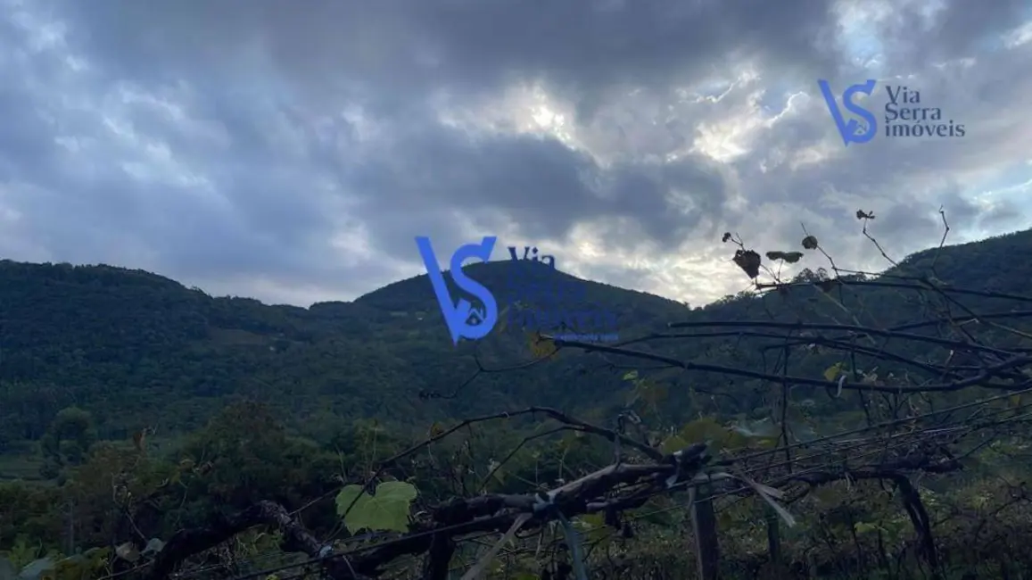 Foto 5 de Sítio / Rancho com 1 quarto à venda, 1500m2 em Igrejinha - RS