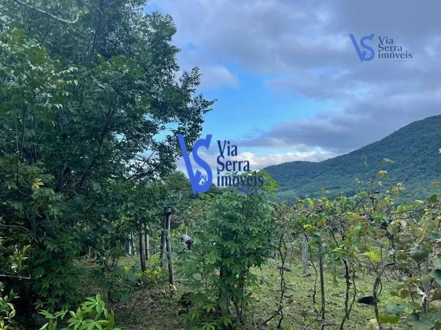 Foto 6 de Sítio / Rancho com 1 quarto à venda, 1500m2 em Igrejinha - RS