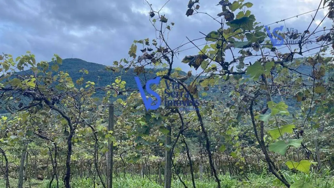 Foto 4 de Sítio / Rancho com 1 quarto à venda, 1500m2 em Igrejinha - RS