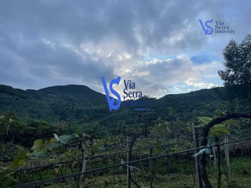 Foto 7 de Sítio / Rancho com 1 quarto à venda, 1500m2 em Igrejinha - RS