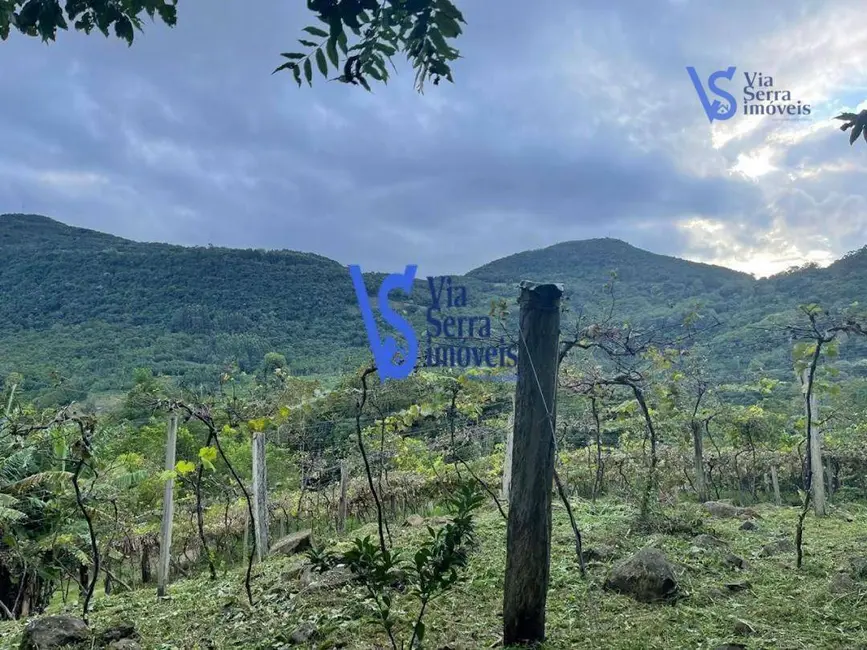 Foto 1 de Sítio / Rancho com 1 quarto à venda, 1500m2 em Igrejinha - RS