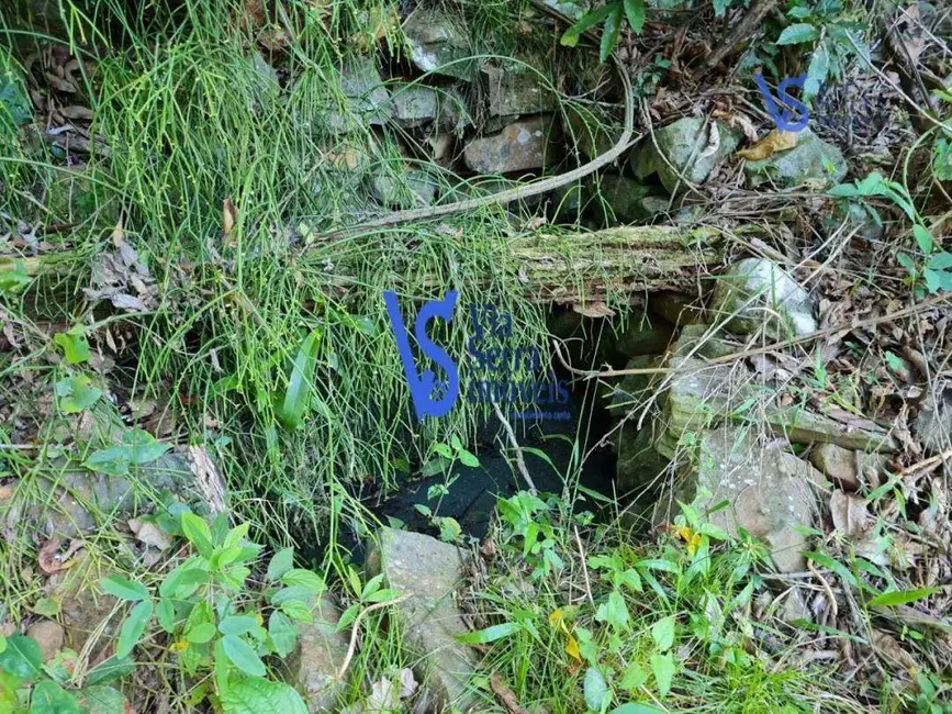 Foto 8 de Sítio / Rancho à venda, 310000m2 em Centro, Tres Coroas - RS