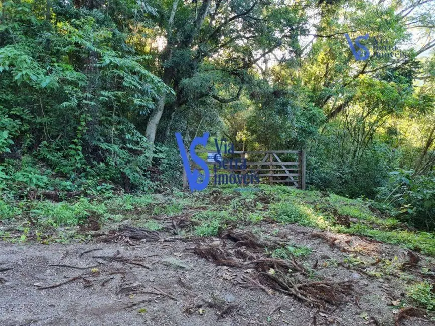 Foto 5 de Sítio / Rancho à venda, 310000m2 em Centro, Tres Coroas - RS