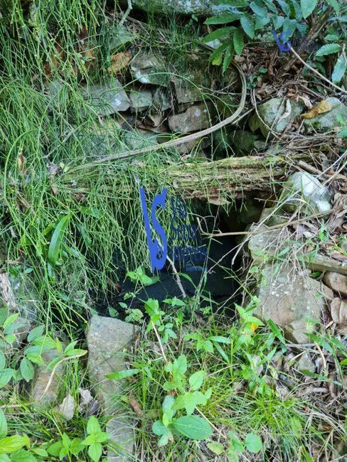 Foto 9 de Sítio / Rancho à venda, 310000m2 em Centro, Tres Coroas - RS