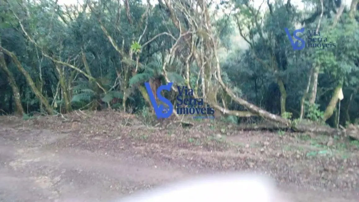 Terreno / Lote à venda, 371m2 em Sao Francisco De Paula - RS - imagem 3 Foto 3 de Terreno / Lote à venda, 371m2 em Sao Francisco De Paula - RS