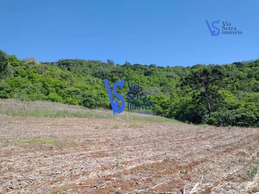 Foto 8 de Sítio / Rancho à venda, 100000m2 em Tres Coroas - RS