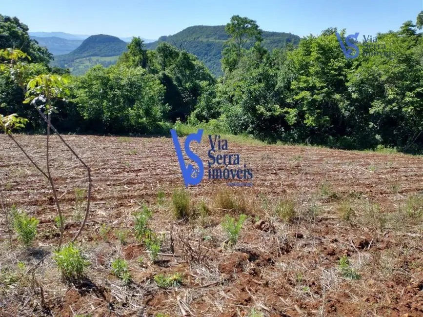 Foto 4 de Sítio / Rancho à venda, 100000m2 em Tres Coroas - RS