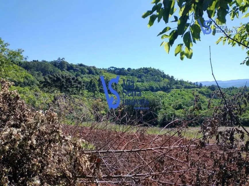 Foto 3 de Sítio / Rancho à venda, 100000m2 em Tres Coroas - RS