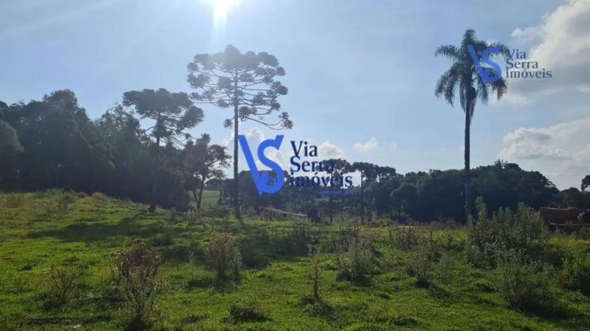 Foto 4 de Sítio / Rancho à venda, 70000m2 em Gramado - RS