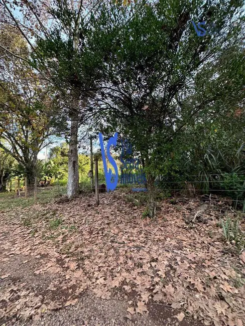 Foto 2 de Sítio / Rancho à venda, 75000m2 em Tres Coroas - RS