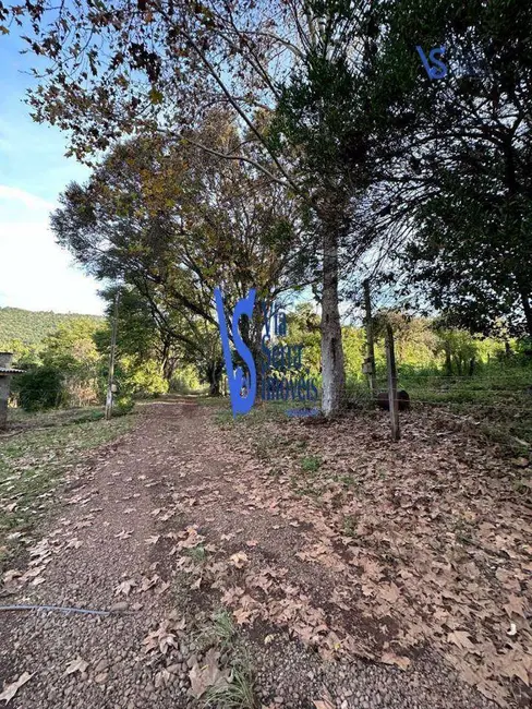 Foto 8 de Sítio / Rancho à venda, 75000m2 em Tres Coroas - RS