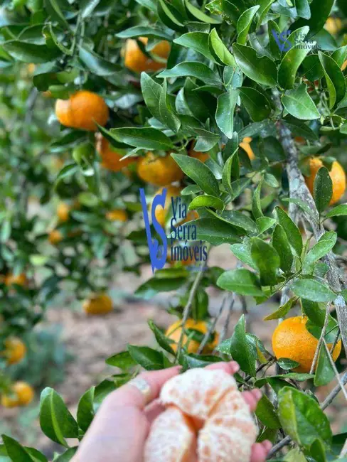 Foto 7 de Sítio / Rancho à venda, 75000m2 em Tres Coroas - RS