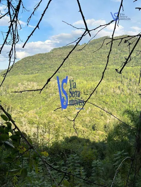 Foto 9 de Sítio / Rancho à venda, 75000m2 em Tres Coroas - RS