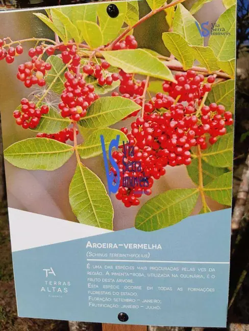 Foto 7 de Terreno / Lote à venda, 652m2 em Gramado - RS