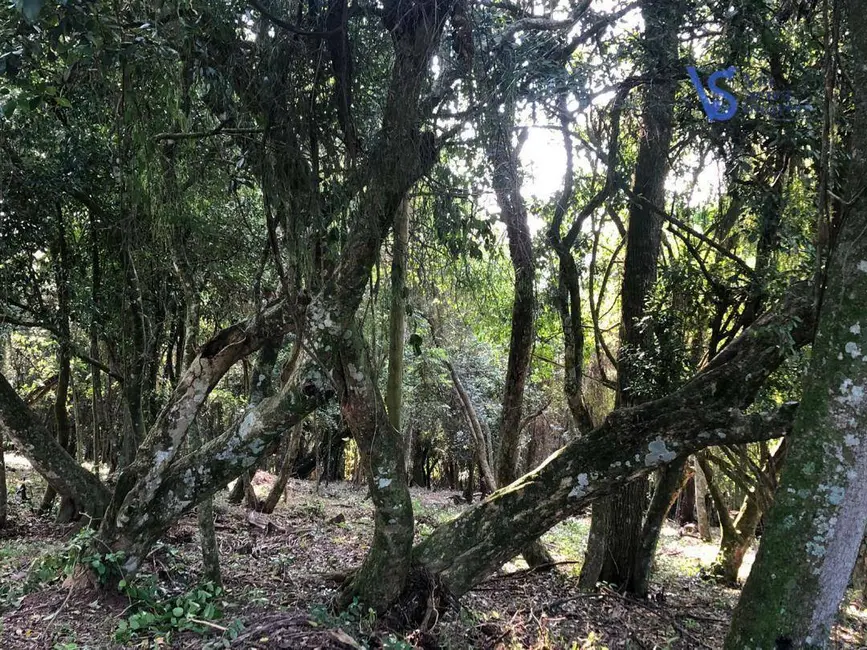 Sítio / Rancho à venda, 130000m2 em Taquara - RS - imagem 1 Foto 1 de Sítio / Rancho à venda, 130000m2 em Taquara - RS