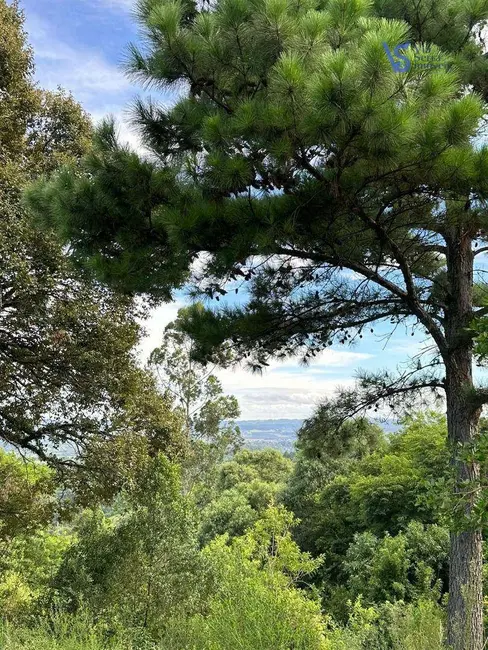 Foto 6 de Sítio / Rancho à venda, 20000m2 em Igrejinha - RS