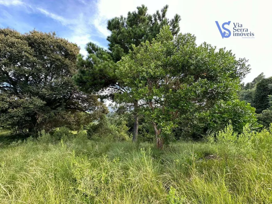 Foto 5 de Sítio / Rancho à venda, 20000m2 em Igrejinha - RS