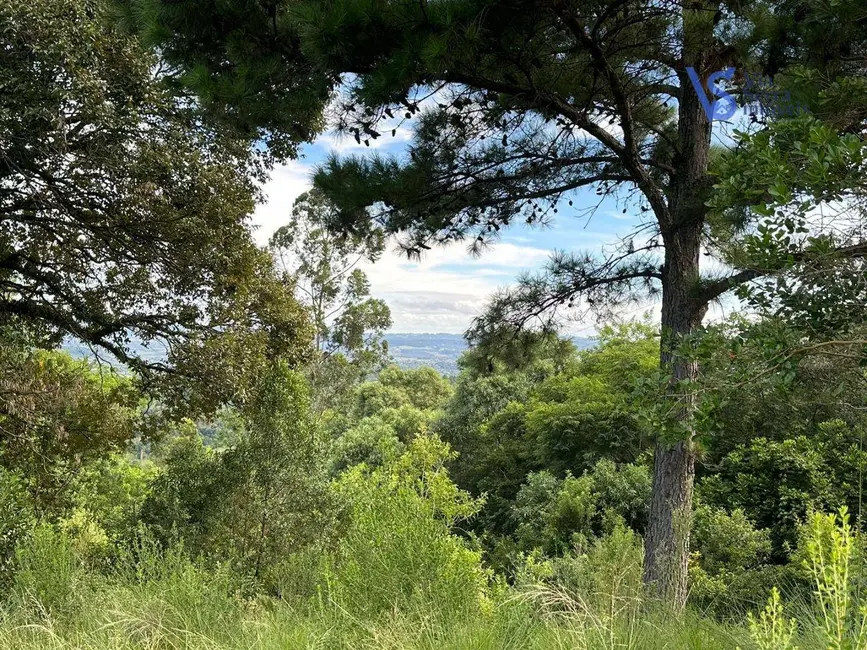 Foto 8 de Sítio / Rancho à venda, 20000m2 em Igrejinha - RS