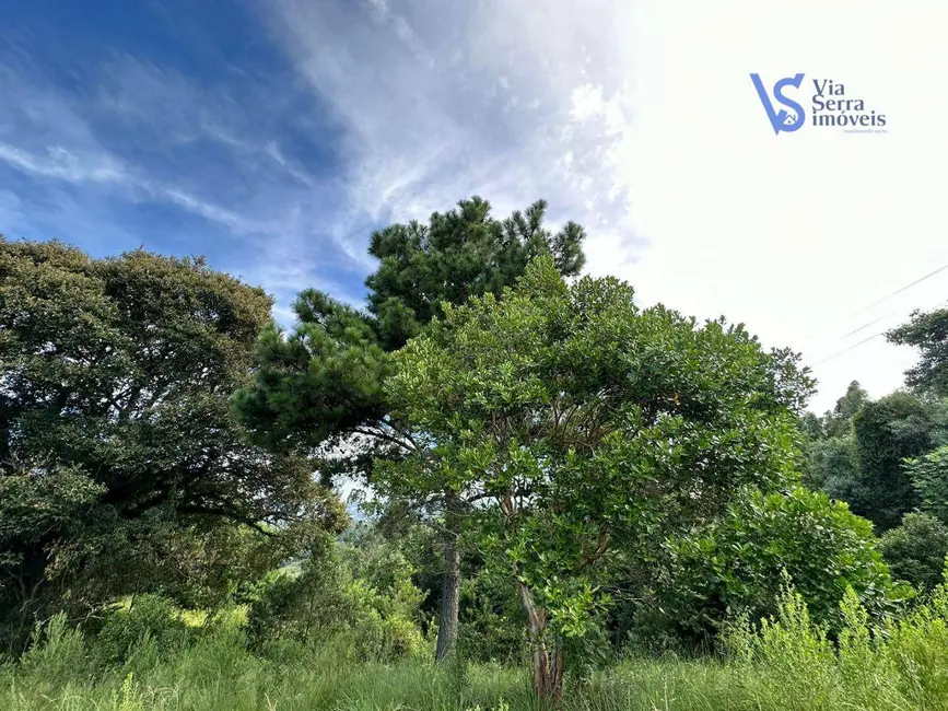 Foto 7 de Sítio / Rancho à venda, 20000m2 em Igrejinha - RS