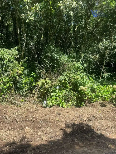 Terreno / Lote à venda, 387m2 em Sao Francisco De Paula - RS - imagem 2 Foto 2 de Terreno / Lote à venda, 387m2 em Sao Francisco De Paula - RS