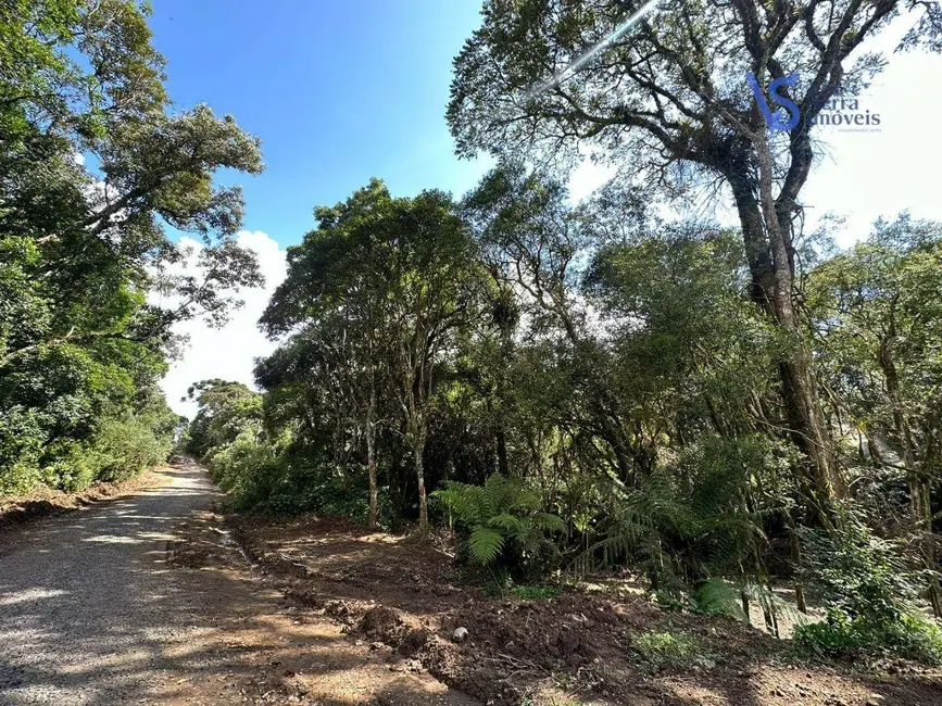 Terreno / Lote à venda, 387m2 em Sao Francisco De Paula - RS - imagem 1 Foto 1 de Terreno / Lote à venda, 387m2 em Sao Francisco De Paula - RS