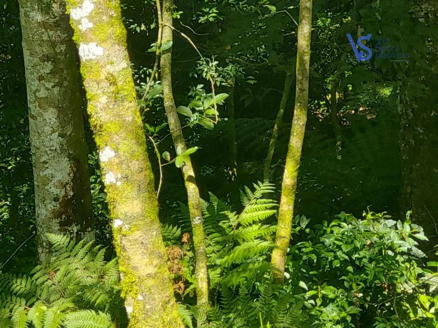 Foto 1 de Terreno / Lote à venda, 750m2 em Sao Francisco De Paula - RS