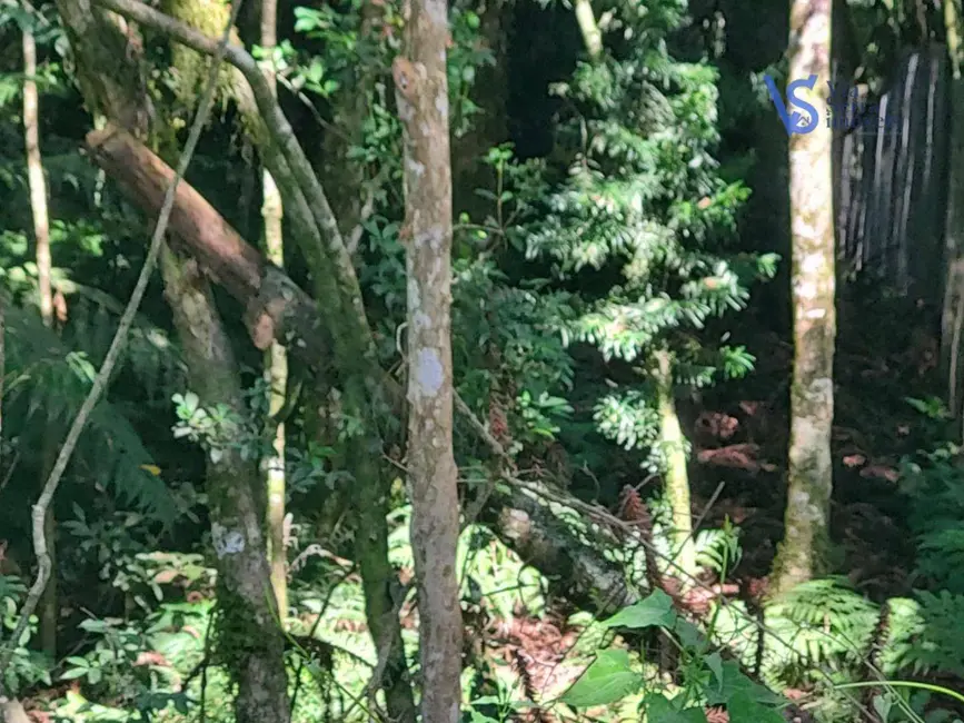 Foto 2 de Terreno / Lote à venda, 750m2 em Sao Francisco De Paula - RS