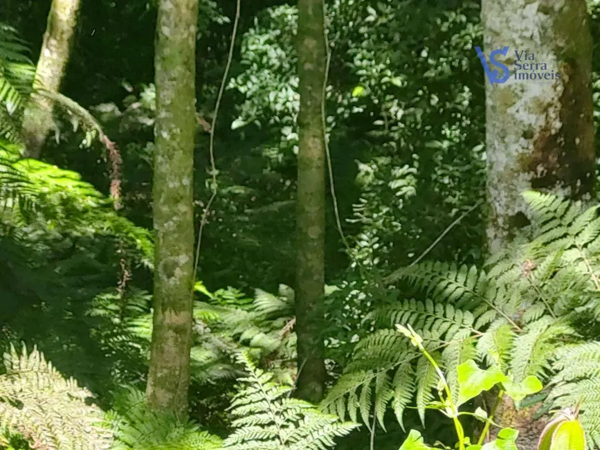 Terreno / Lote à venda, 750m2 em Sao Francisco De Paula - RS - imagem 3 Foto 3 de Terreno / Lote à venda, 750m2 em Sao Francisco De Paula - RS