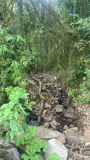 Foto 5 de Sítio / Rancho à venda, 100000m2 em Várzea Grande, Gramado - RS