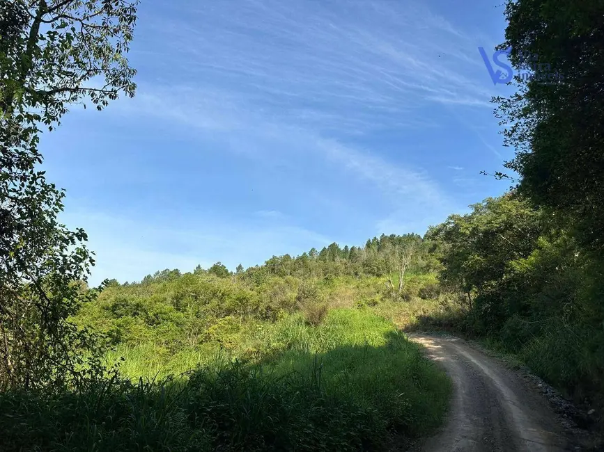 Foto 4 de Sítio / Rancho à venda, 100000m2 em Várzea Grande, Gramado - RS
