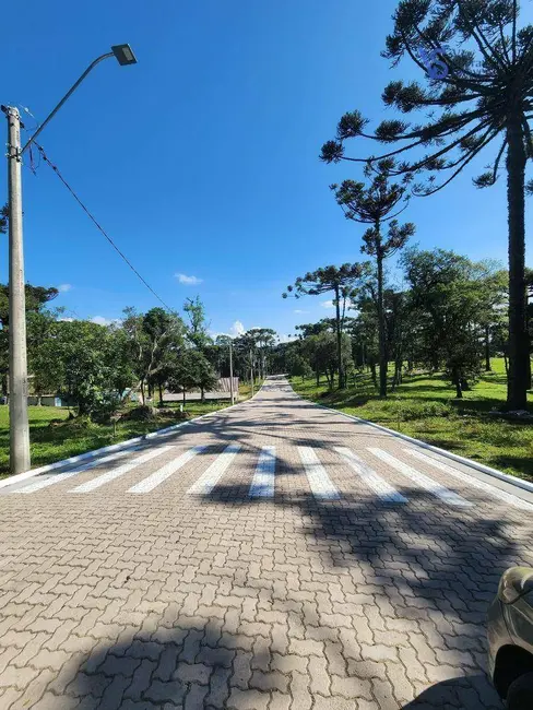 Terreno / Lote à venda, 421m2 em Canela - RS - imagem 2 Foto 2 de Terreno / Lote à venda, 421m2 em Canela - RS