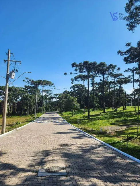 Terreno / Lote à venda, 421m2 em Canela - RS - imagem 5 Foto 5 de Terreno / Lote à venda, 421m2 em Canela - RS