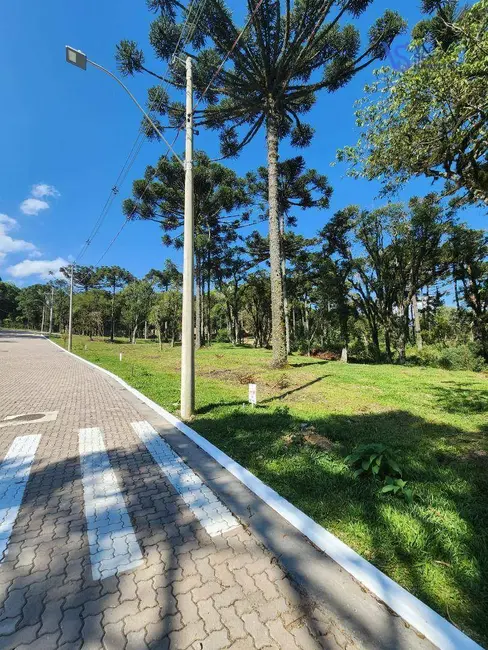 Terreno / Lote à venda, 421m2 em Canela - RS - imagem 3 Foto 3 de Terreno / Lote à venda, 421m2 em Canela - RS