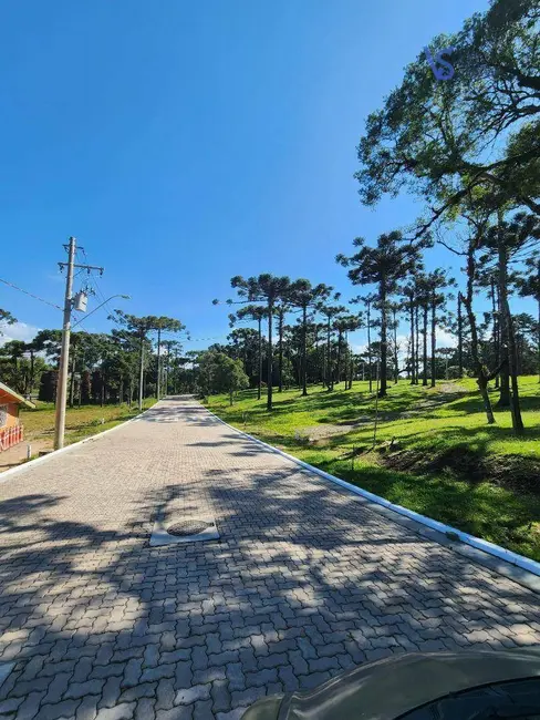 Terreno / Lote à venda, 421m2 em Canela - RS - imagem 4 Foto 4 de Terreno / Lote à venda, 421m2 em Canela - RS