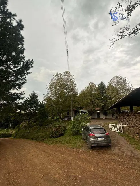 Foto 5 de Casa com 2 quartos à venda, 5000m2 em Santa Maria Do Herval - RS