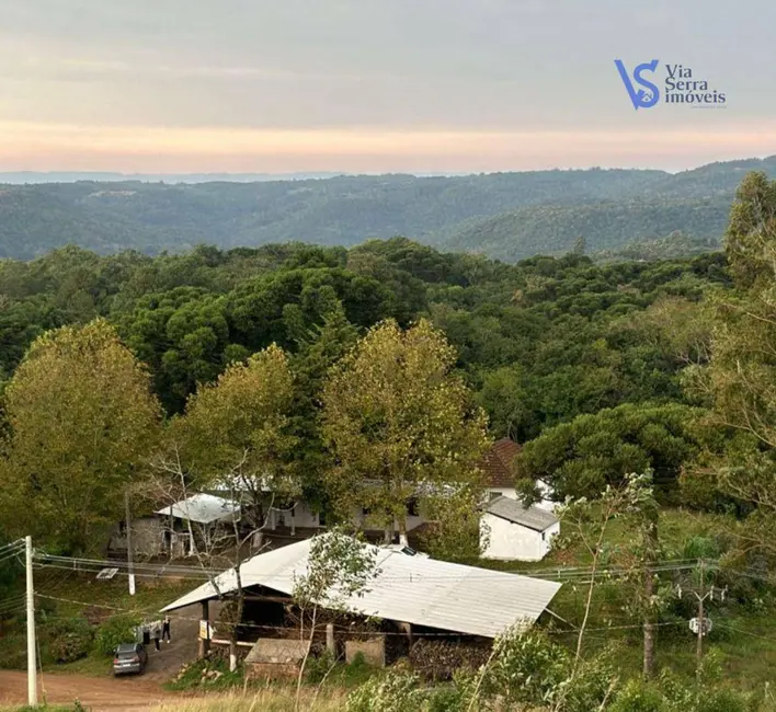 Foto 1 de Casa com 2 quartos à venda, 5000m2 em Santa Maria Do Herval - RS
